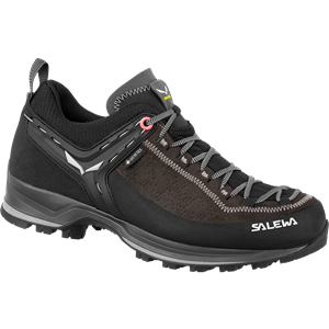 Salewa Dames MTN Trainer 2 GTX schoenen