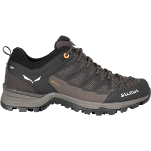 Salewa Dames MTN Trainer Lite GTX schoenen