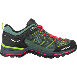 Salewa Dames MTN Trainer Lite GTX schoenen