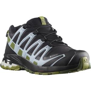 Salomon Laufschuh XA PRO 3D v8 GORE-TEX W