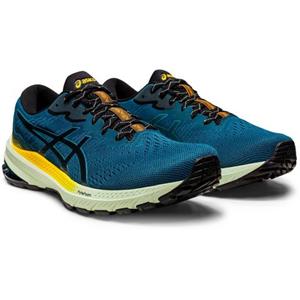 ASICS GT-1000 11 TR Trailschuh