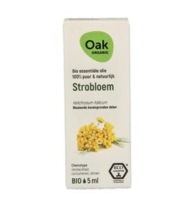 OAK Strobloem