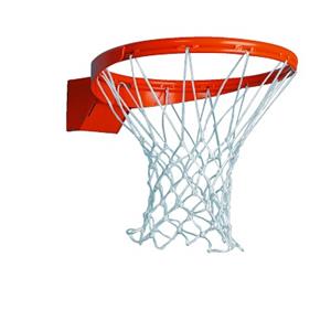 Sport-Thieme Basketbalring Premium, Neerklapbaar, Neerklapbaar vanaf 75 kg, Incl. anti-wip net