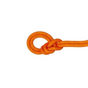 Mammut - 9.8 Crag Dry Rope - Einfachseil