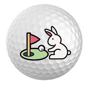 JUMBOGOLF JUMBO SPORTS PAASHAAS Golfbal