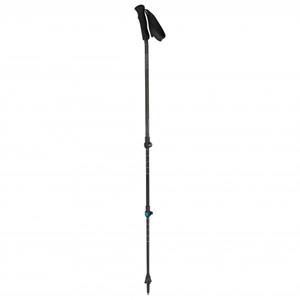 Backcountry Ergo Trekkingstokken
