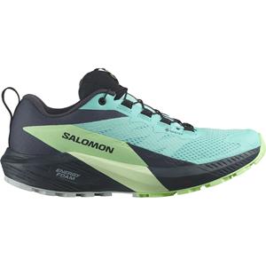 Salomon Dames Sense Ride 5 GTX Schoenen