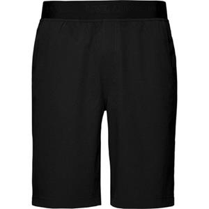 Black Diamond Heren Sierra Shorts