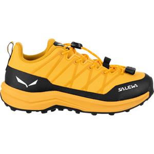 Salewa Kinderen Wildfire 2 Schoenen