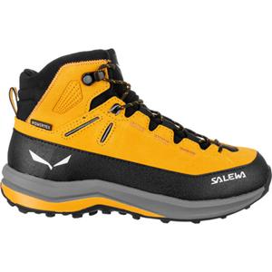 Salewa Kinderen Mtn Trainer 2 Mid PTX Schoenen