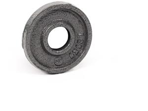 Gietijzeren Halterschijf - 50 mm - 1,25 kg