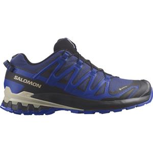 Salomon Heren Xa Pro 3D V9 GTX Schoenen