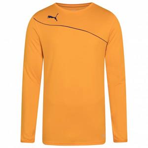 Puma Momentta Heren Keepersshirt 701702-25