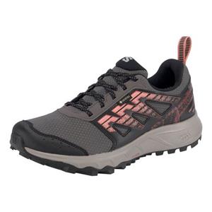 Salomon Wandelschoenen WANDER GORE-TEX