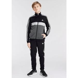 adidas Jogginganzug U 3S TIBERIO TS für Jungen (recycelt) schwarz/grau Junge 