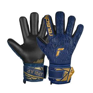 Reusch Attrakt Freegel Silver Junior - Blue/Gold/Black