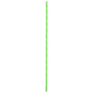 Edelrid  PES Cord 4mm - Prusiktouw, groen