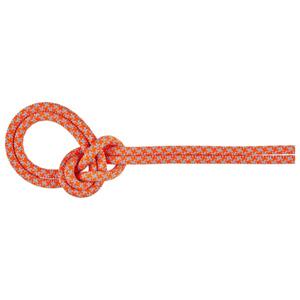 Mammut  8.7 Crag Sender Dry Rope - Enkeltouw, roze