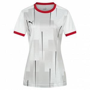 Puma Duitsland DHB  Handbal Dames Opleiding Shirt 759907-01