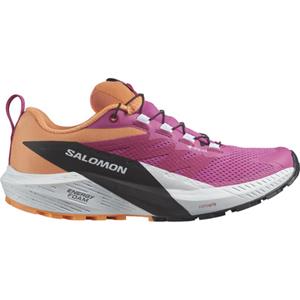 Salomon Dames Sense Ride 5 GTX Schoenen