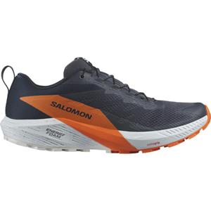 Salomon Heren Sense Ride 5 GTX Schoenen