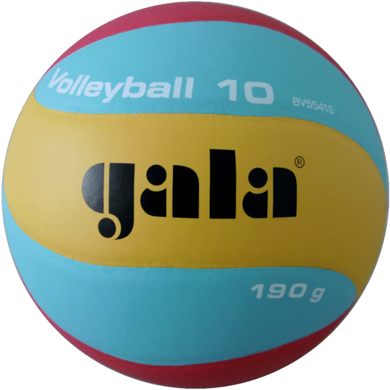 Gala Volleybal Jeugd V190 BV 5541S Indoor