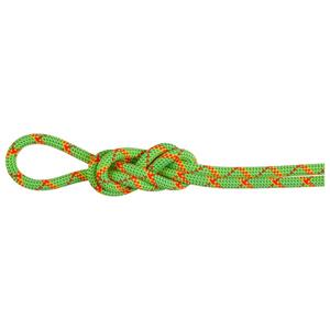 Mammut  8.0 Alpine Core Protect Dry Rope - Enkeltouw, groen