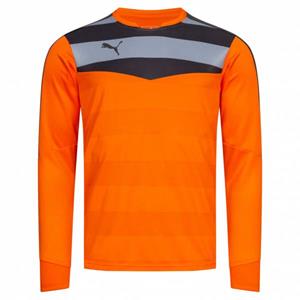 Puma Stadium GK Heren Keepersshirt 702089-36