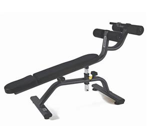 WBX 3200 Adjustable Ab Board