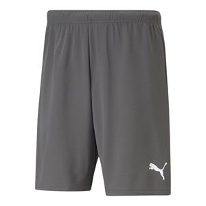 Puma teamRISE Short Heren