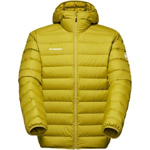 Mammut Heren Waymarker In Hoodie Jas