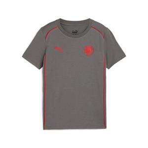 PUMA Trainingsshirt FCSP CASUALS TEE JR