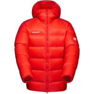 Mammut Heren Taiss Pro In Hoodie Jas