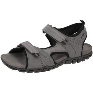 Geox Wandelschoenen  -