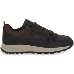 Geox Wandelschoenen  TERRESTRE