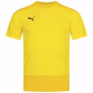 Puma teamGOAL Heren Shirt 656482-07