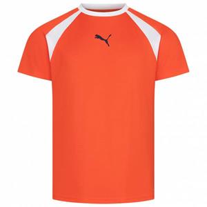 Puma teamLIGA Multisport Heren Shirt 658084-13