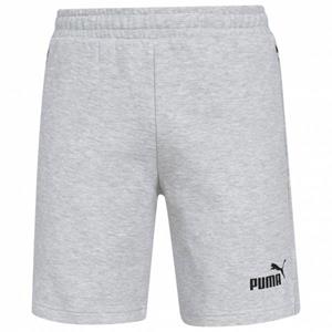 Puma teamFINAL Casuals Shorts Heren Korte broek 657387-33