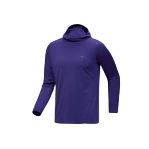 Arcteryx Heren Ionia Hoodie