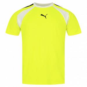 Puma teamLIGA Multisport Heren Shirt 658084-12