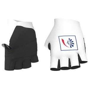 Alé GROUPAMA - FDJ Handschoenen 2022, voor heren