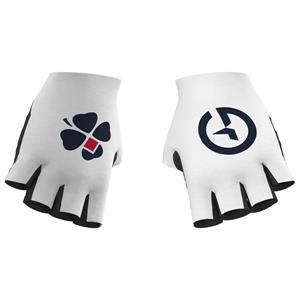 Alé GROUPAMA - FDJ Handschoenen 2025 handschoenen, voor heren