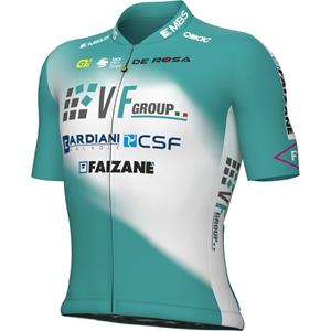 Alé VF GROUP-BARDIANI CSF-FAIZANÈ Shirt met korte mouwen 2024 fietsshirt met korte