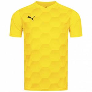 Puma teamFINAL Graphic Jersey Heren Shirt 704150-07