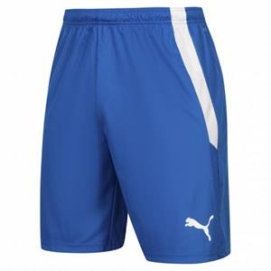 Puma teamLIGA Heren Short 704924-35