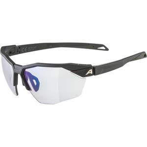 Alpina Twist Six S HR Vm 1-3 Sportbril