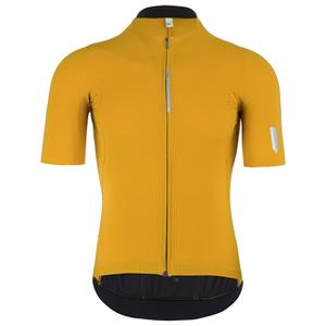 Q36.5 Pinstripe Pro fietsshirt met korte mouwen, voor heren