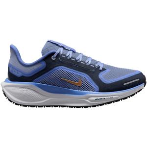 Nike Pegasus 41 GTX Dames