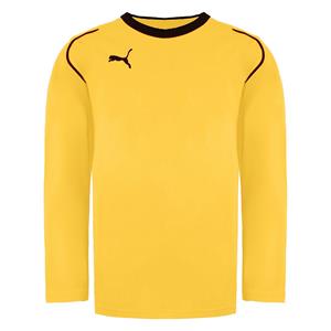 Puma V5.08 Heren Shirt met lange mouwen 700472-07
