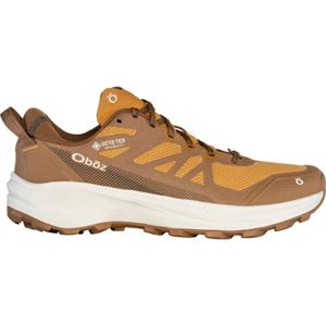 Oboz Heren Katabatic LT Low GTX Schoenen